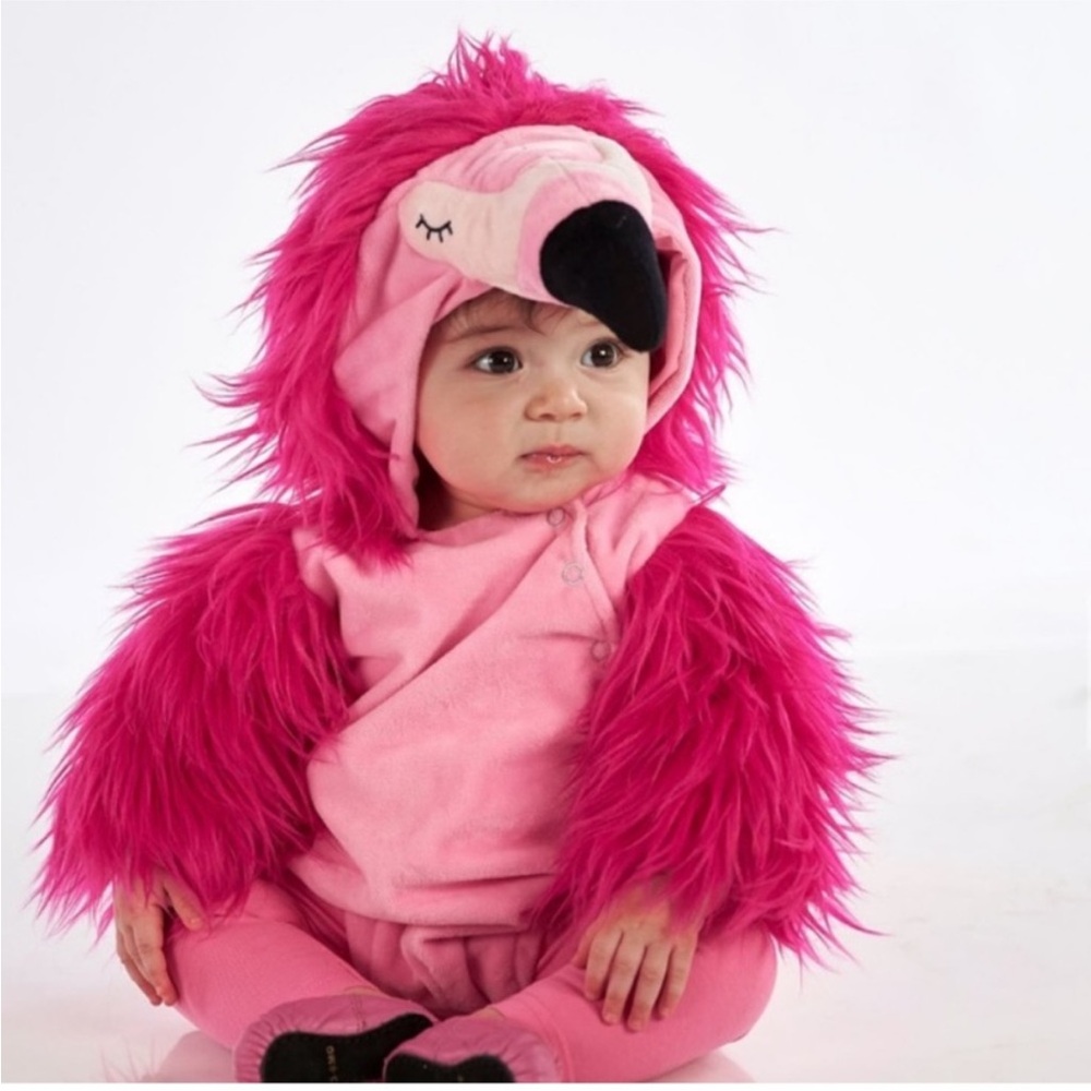 Pottery Barn Kids Flamingo Costume 0-6 Months
